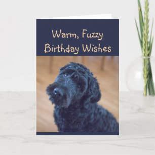 Carte Chaud, Fuzzé Souhaite Anniversaire Mignonne Chien 