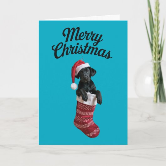 Carte Chaussette de Noël Black Lab (Devant)