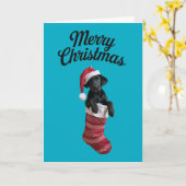 Carte Chaussette de Noël Black Lab (Fleur jaune)