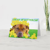 Carte Cheer up Buttercup ! (Devant)