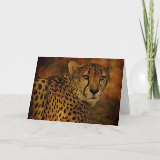 Carte Cheetah (Devant)