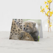 Carte Cheetah Cub avec maman (Fleur jaune)