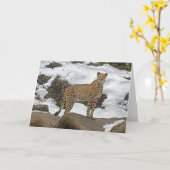Carte Cheetah en neige (Fleur jaune)
