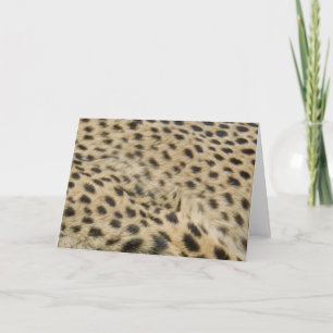 Carte Cheetah Print