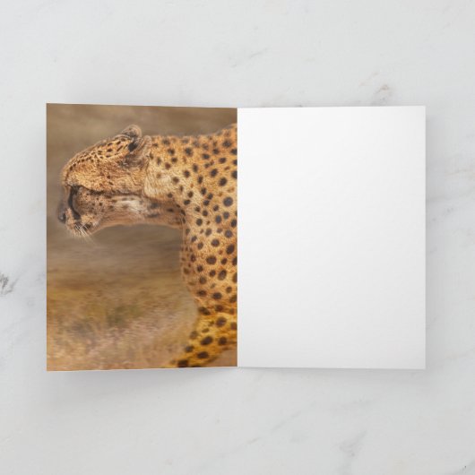 CARTE CHEETAH REPOSANT (Intérieur)
