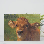 Carte Chef d'un veau (par Rosa Bonheur) (Debout devant)