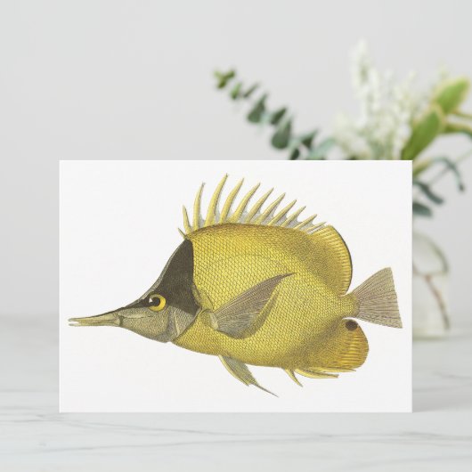 Carte Chelmon Longirostris Tropical Jaune, Poisson Vinta (Debout devant)