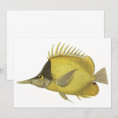 Carte Chelmon Longirostris Tropical Jaune, Poisson Vinta (Devant / Derrière)