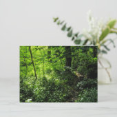 Carte Chemin dans la forêt (Debout devant)