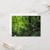 Carte Chemin dans la forêt (Devant/Arrière en situation)