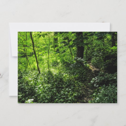 Carte Chemin dans la forêt (Devant)