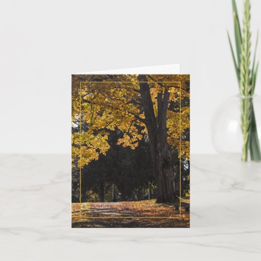 Carte Chemin vers le confort (Devant)