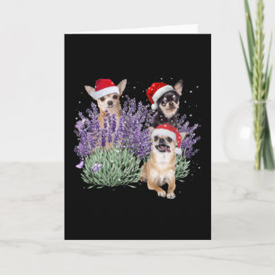 Carte Chemise de Noël Fleur de Lavande Chihuahua Chihuah