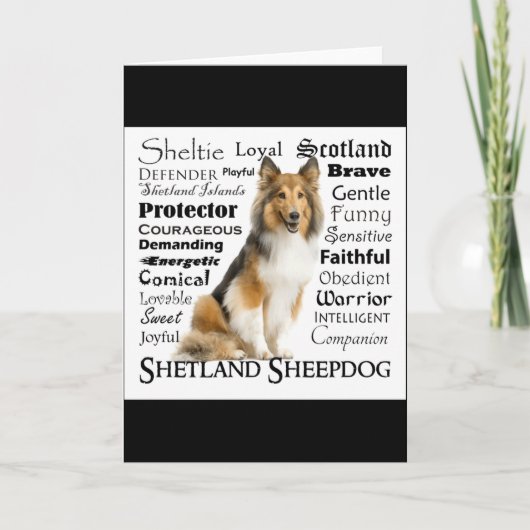 Carte Chemise T Sheltie Traits (Devant)