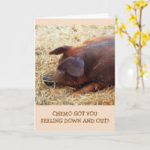Carte Chemo Encouragement Funny Pig Card (Fleur jaune)