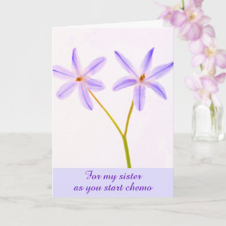 Carte Chemo Support Pour Ma Soeur