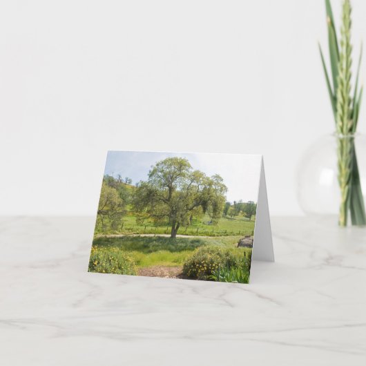 Carte Chêne de vue de perron (Devant)