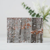 Carte Chênes couverts de neige hiver Photographie de la  (Debout devant)