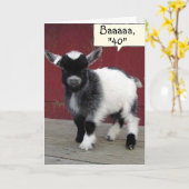 CARTE *CHÈQUE COMIQUE* VOUS REGARDEZ TOUJOURS "39" SUR V (Fleur jaune)