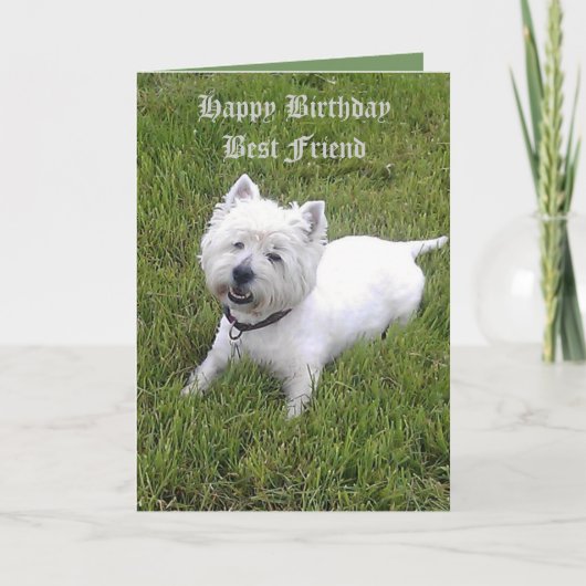 Carte Cher ami de joyeux anniversaire (Devant)