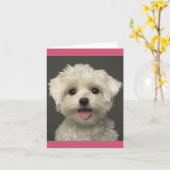 Carte Cher Chien Chien Blanc Maltais (Fleur jaune)