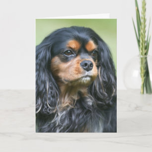Carte Chérissant notre amitié Cavalier King Charles