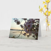 Carte Cherry Blossom Sunset à Washington DC (Fleur jaune)