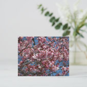 Carte Cherry Blossoms et Blue Sky Spring Floral (Debout devant)