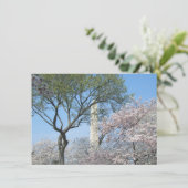 Carte Cherry Blossoms et le monument de Washington à DC (Debout devant)