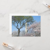 Carte Cherry Blossoms et le monument de Washington à DC (Devant/Arrière en situation)