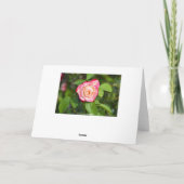 Carte Cherry Parfait Rose (Dos)