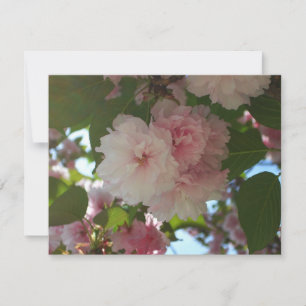 Carte Cherry Tree I Spring Floral