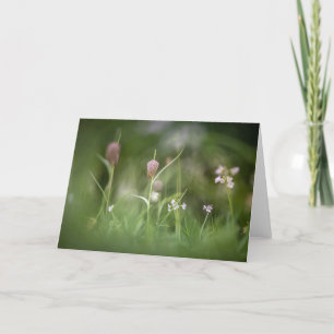Carte Chess Flower Nature Photo