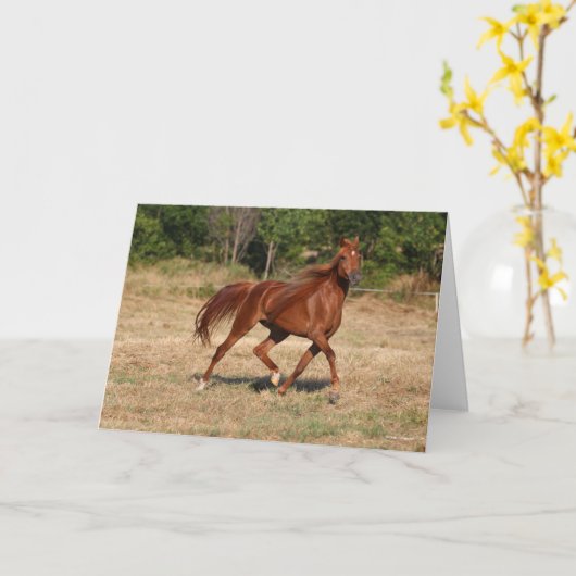 Carte Chestnut Arabe Courir Mane et Queue (Fleur jaune)