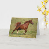 Carte Chestnut Arabe Stallion Mane et traîne (Fleur jaune)