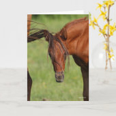 Carte Chestnut Foin de sang chaud avec queue sur la tête (Fleur jaune)