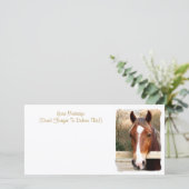 CARTE CHESTNUT HORSE (Debout devant)