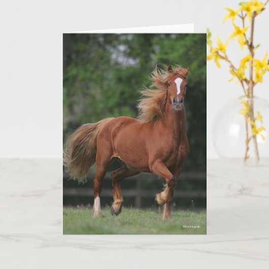 Carte Chestnut Welsh Pony Mane et Flux de queue (Fleur jaune)