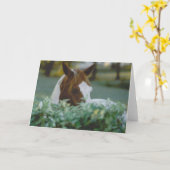 Carte cheval (Fleur jaune)