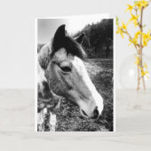 Carte Cheval (Fleur jaune)