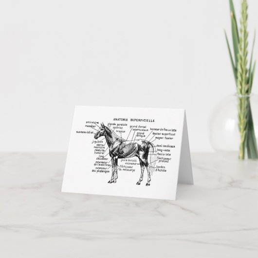 Carte Cheval (Devant)