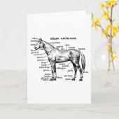 Carte Cheval (Fleur jaune)