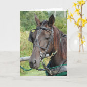 Carte Cheval Amish à la Poste de Hitching (Fleur jaune)