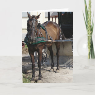 Carte Cheval Amish au poteau d'attelage