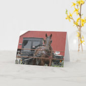 Carte Cheval Amish et Buggy (Fleur jaune)