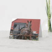 Carte Cheval Amish et Buggy (Devant)