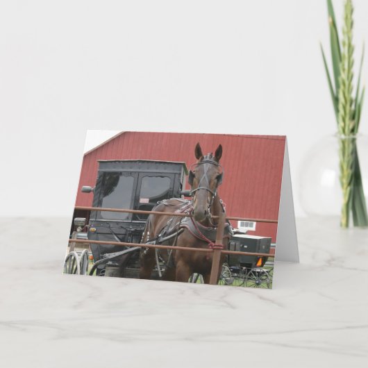 Carte Cheval Amish et Buggy (Devant)