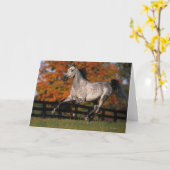 Carte Cheval arabe : Automne 1 (Fleur jaune)