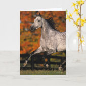 Carte Cheval arabe : Automne 1 (Fleur jaune)