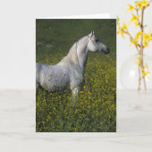 Carte Cheval arabe debout en fleurs (Fleur jaune)